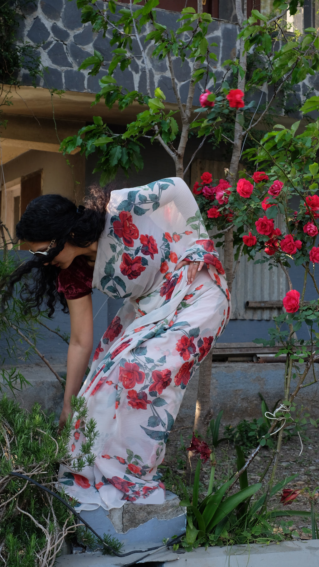 Rose Vine